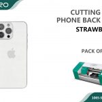 BACK FILM STRAWBERRY